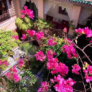 3* Riad Toyour- Of Birds